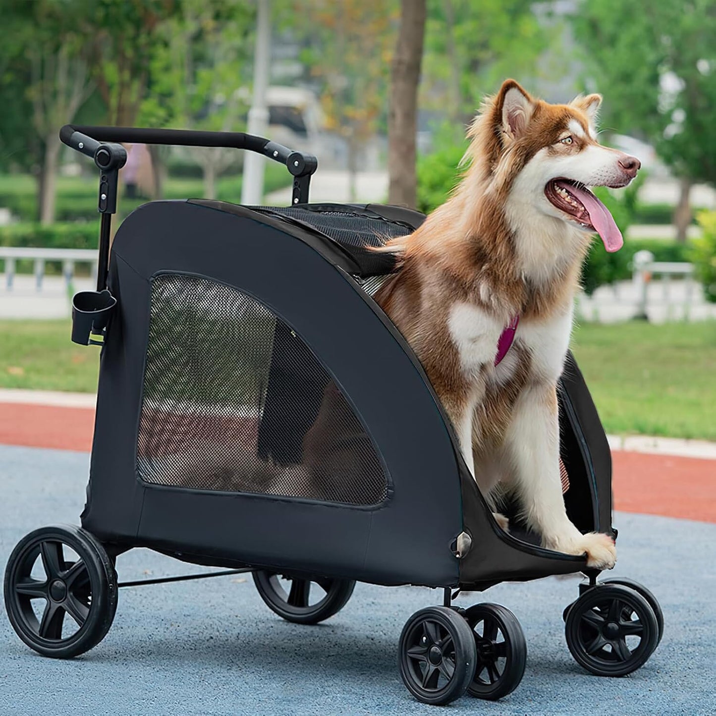 chien dans poussette regarde exterieur