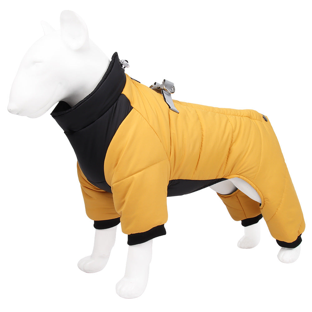 chien hiver manteau léger et chaud