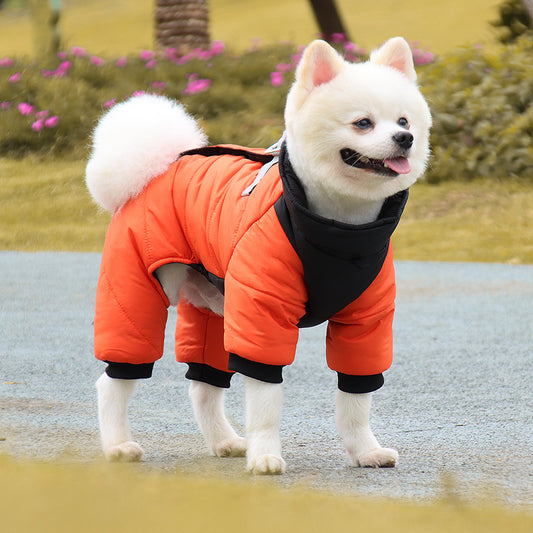 imperméable manteau souple sur chien
