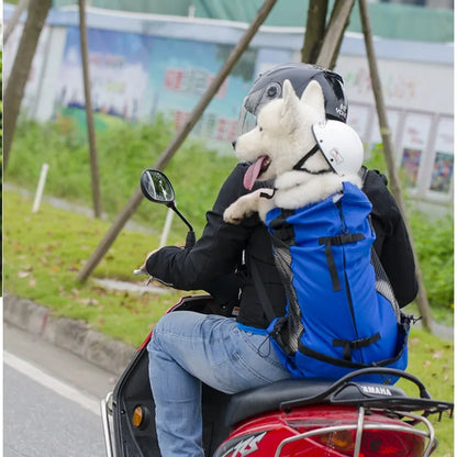 chien moto sac a dos bleu