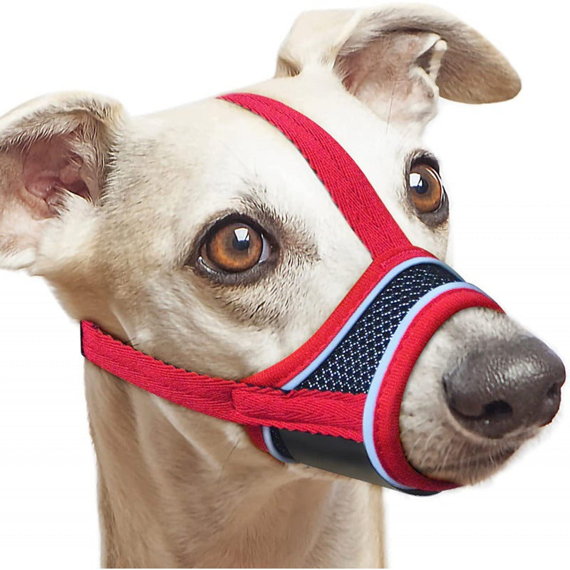 chien avec muselière en rouge réfléchissante