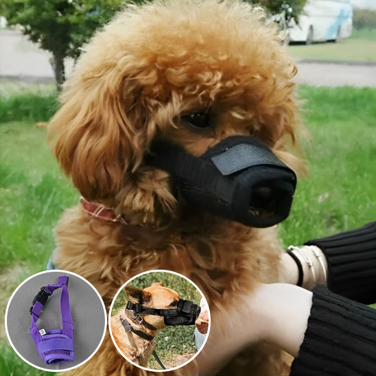 chien muselier image