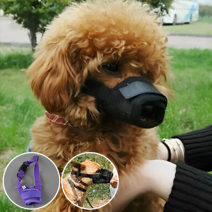 chien muselier image