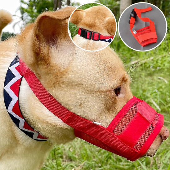 chien museliere rouge