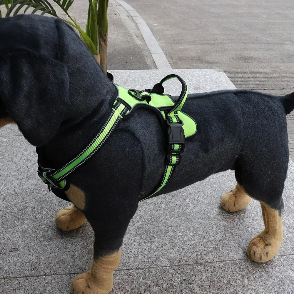 chien porte harnais en nylon réglable
