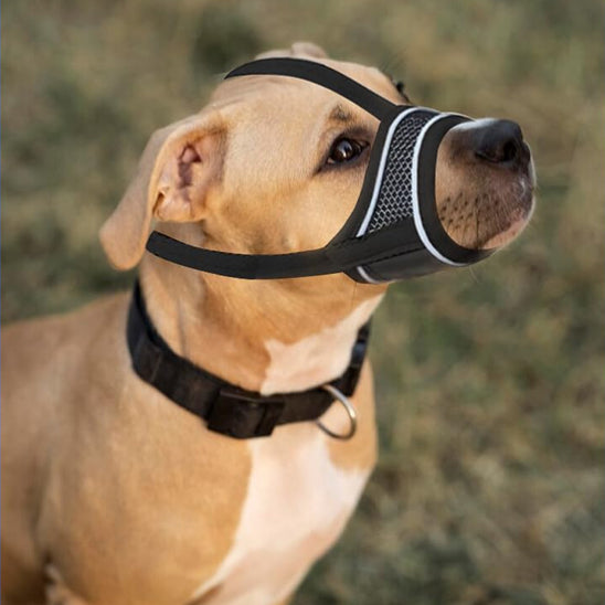 muselière pour chien confort