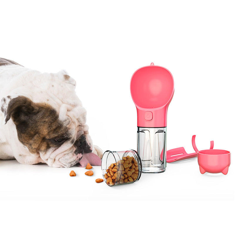 chien proche gourde polyvalente