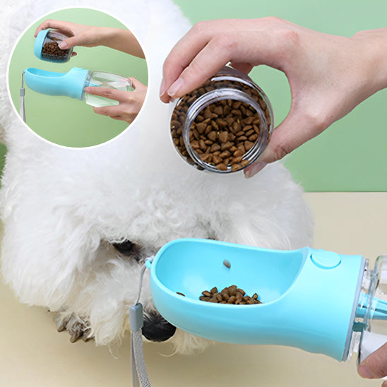 chien regarde gourde