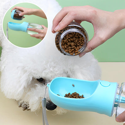 chien regarde gourde