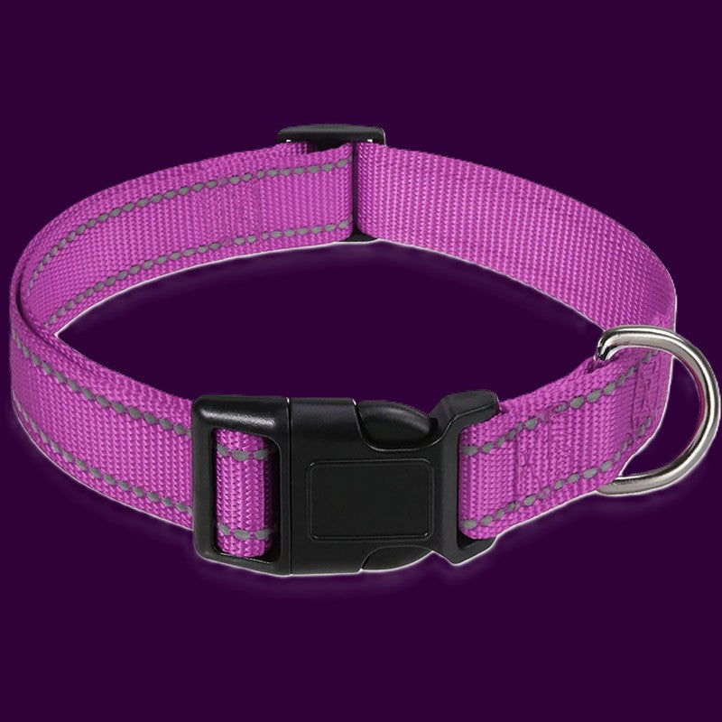 collier pour chien robuste nylon