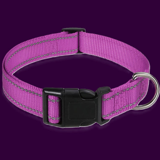 collier pour chien robuste nylon