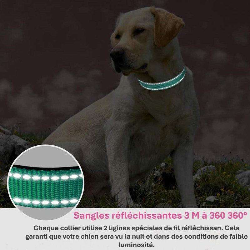 Collier pour Chien Réfléchissant | NylonCollar™