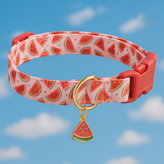 collier de chien rouge avec motif penditif