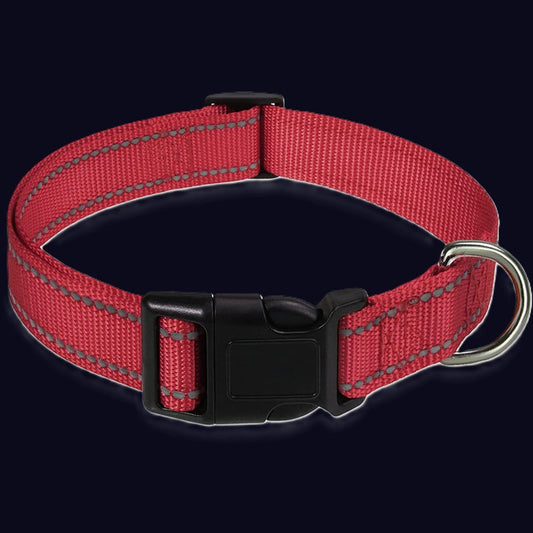 léger collier en nylon chien