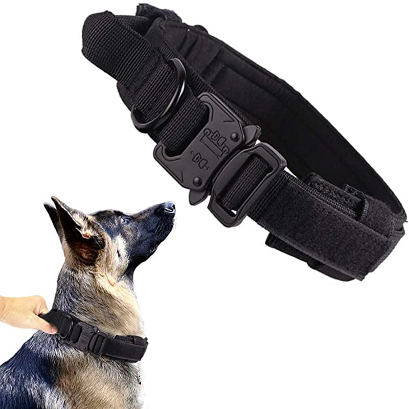 collier tactique chien noir