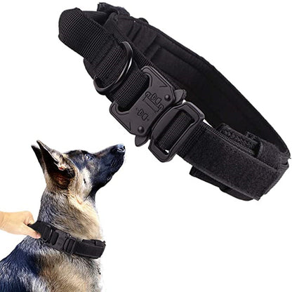 collier tactique chien noir