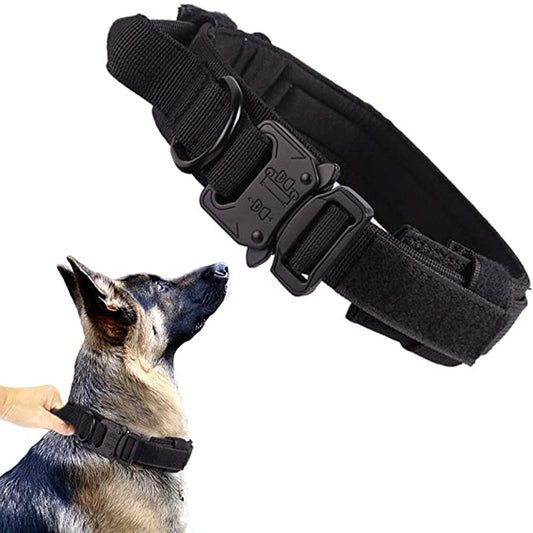 collier tactique chien noir