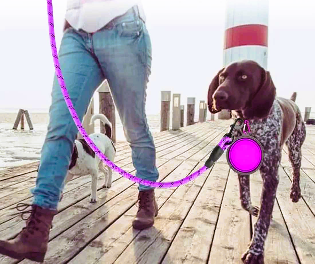 femme avec son chien laisse