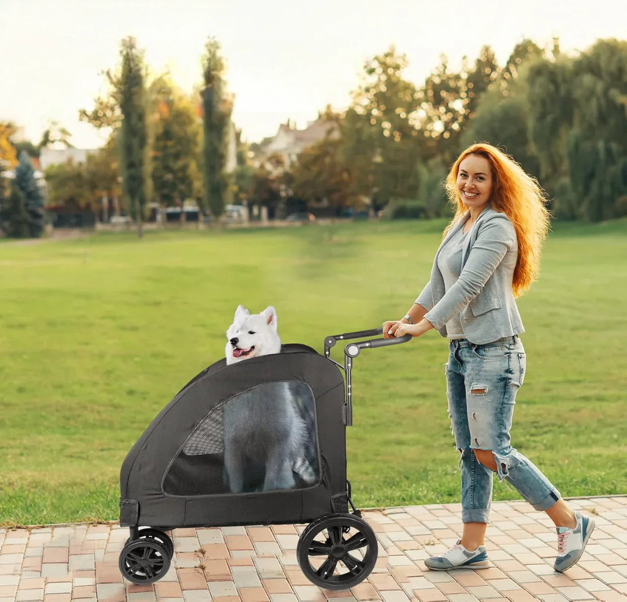 femme promene chien dans poussette