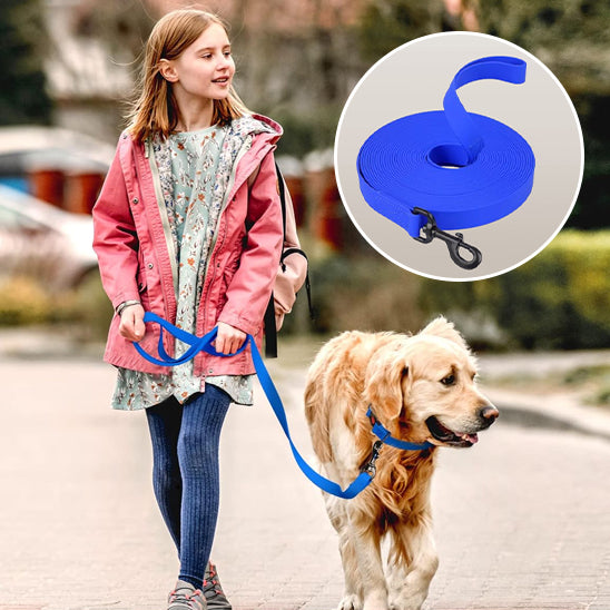 Laisse Pour Chien | DogLeash™ - Dressage