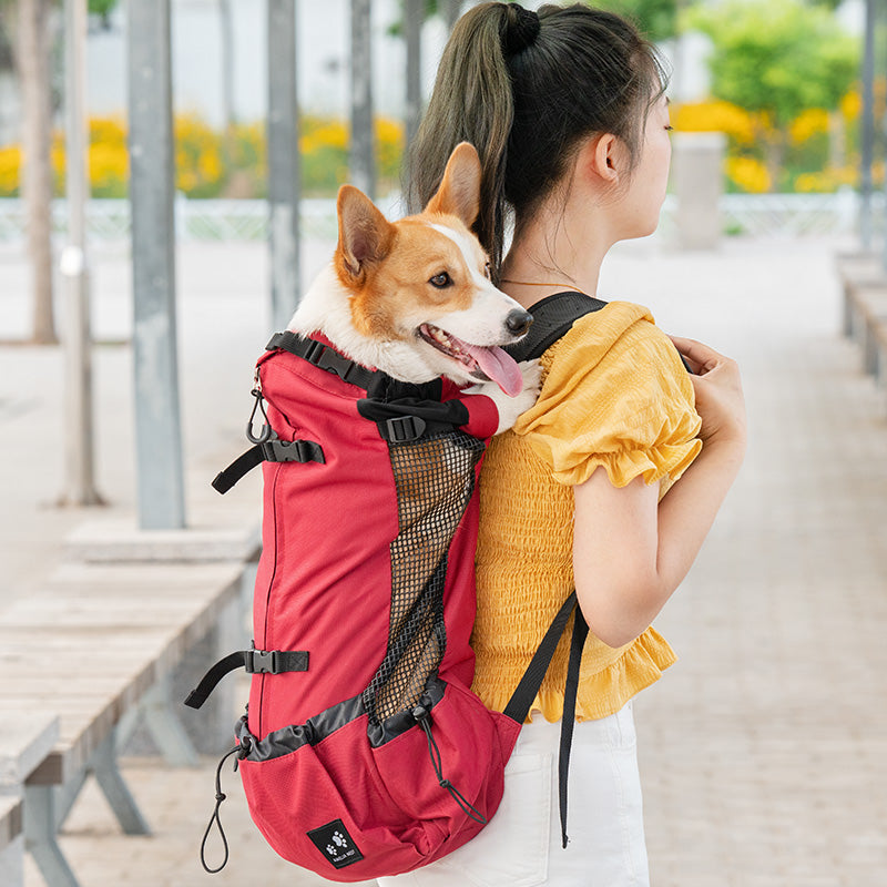 fille marche sac a dos avec son chien