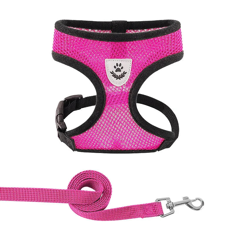harais petit chien rose rouge