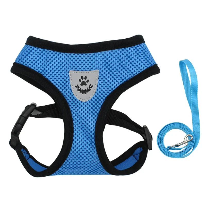 harnais petit chien bleu