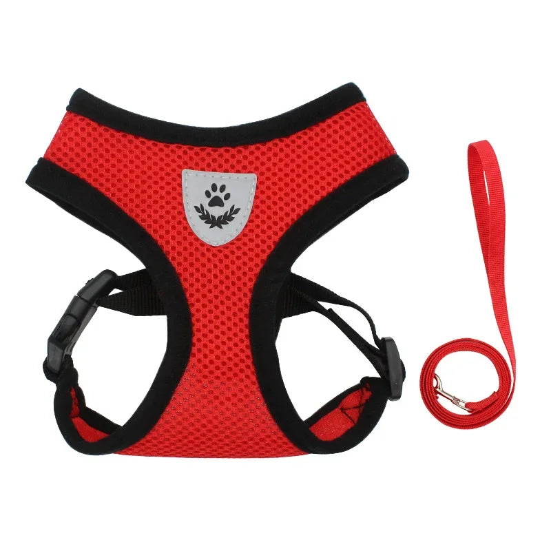 harnais petit chien rouge