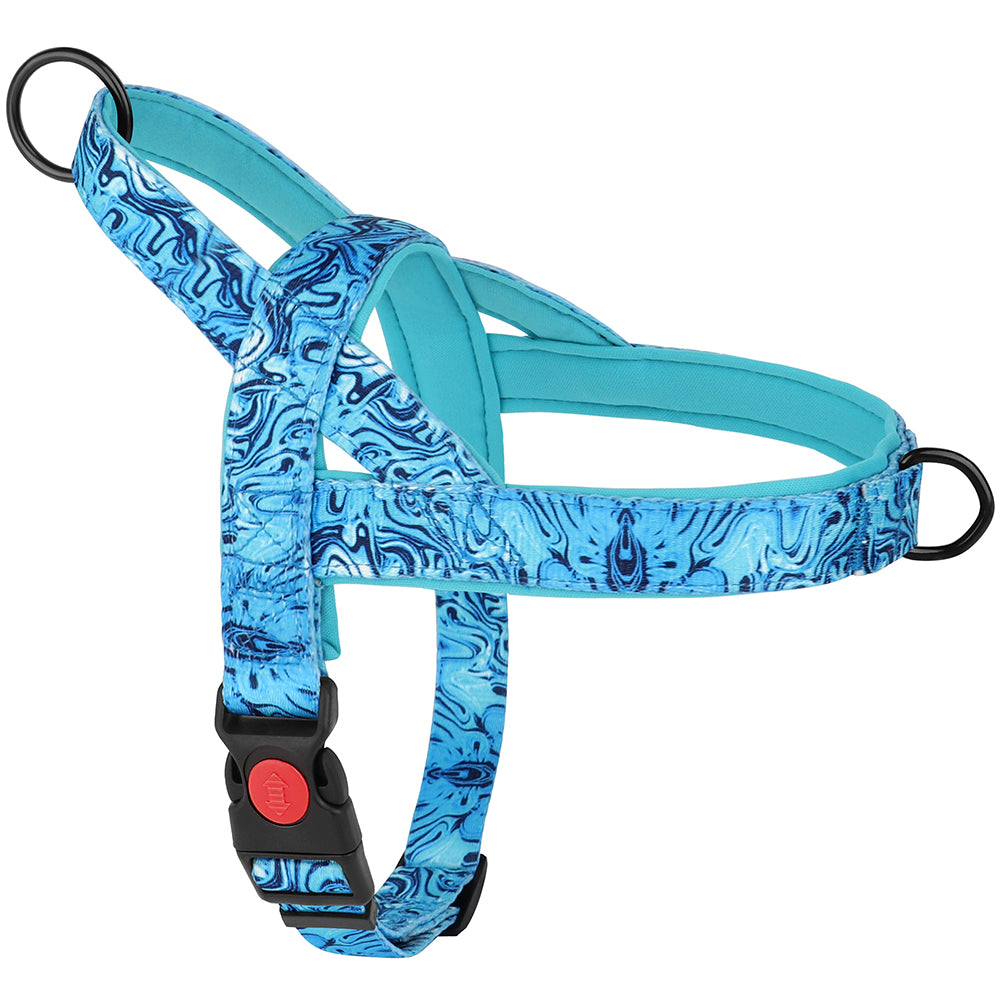 harnais pour chien bleu