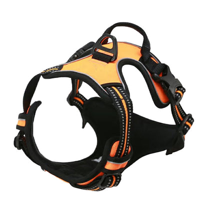 harnais pour chien réglable