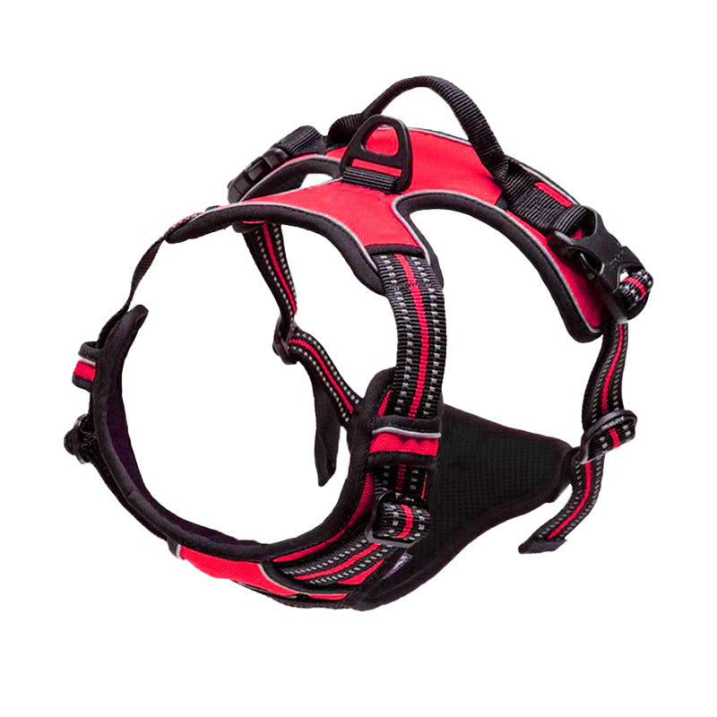 harnais pour chien style et confort