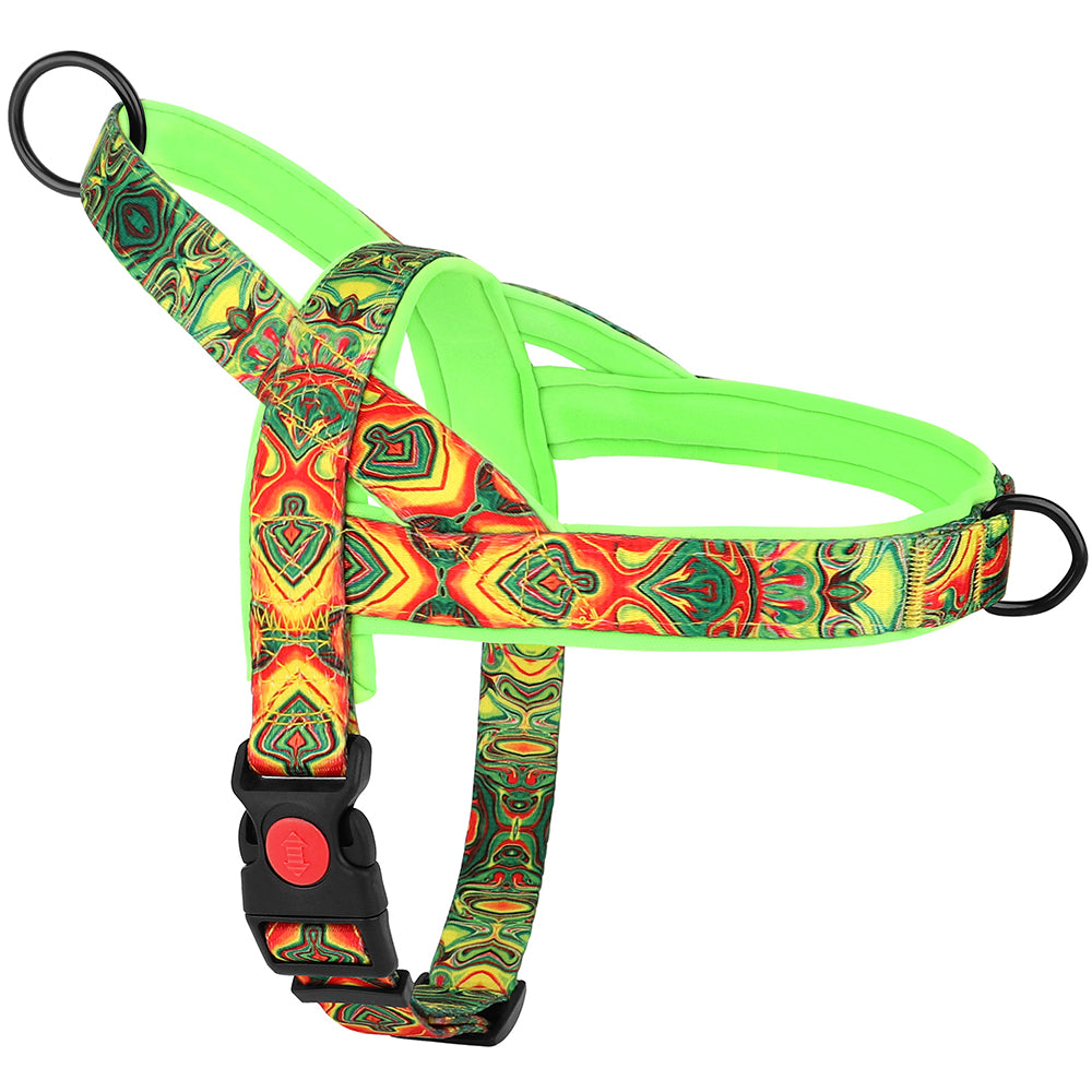 harnais pour chien verte