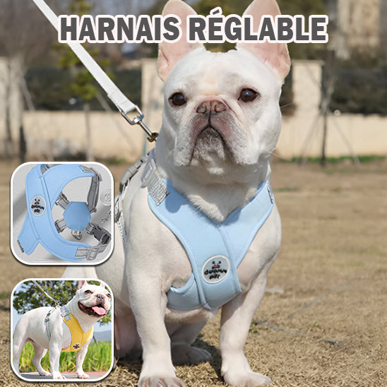 harnais avec laisse réglable pour chien