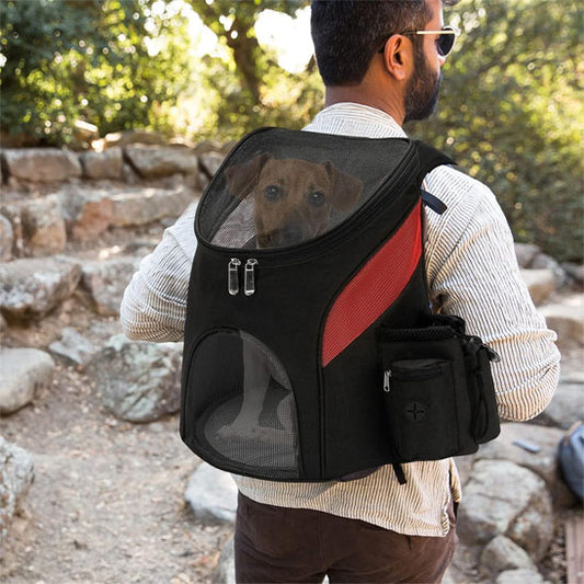 homme avec sac a dos pour chien