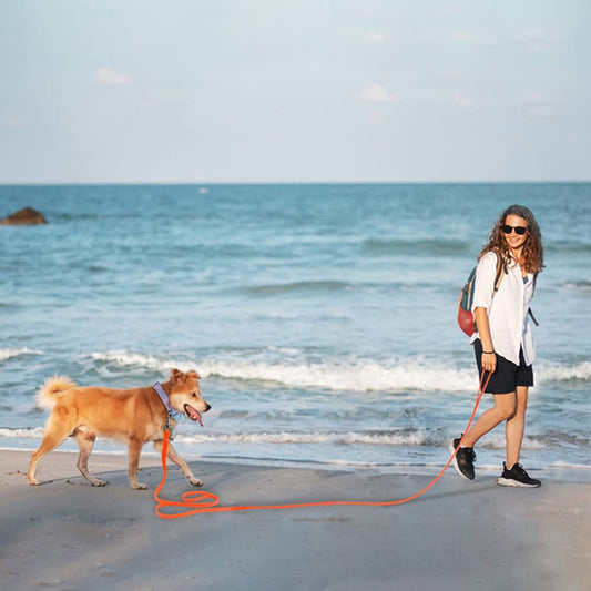 Longe pour Chien | PetLeash™ - Imperméable