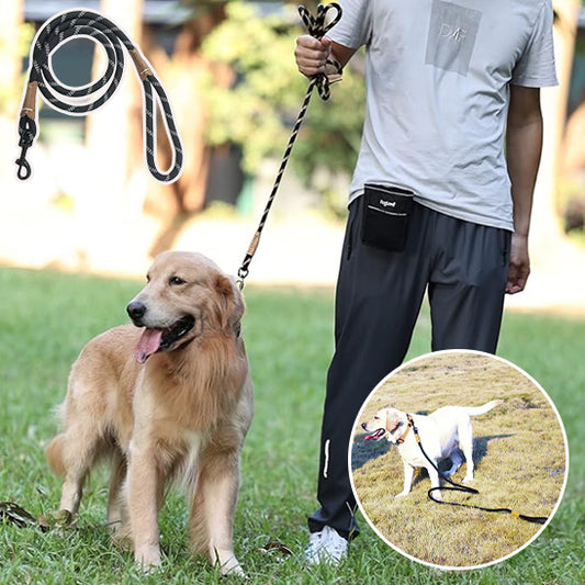 homme chien laisse promenade