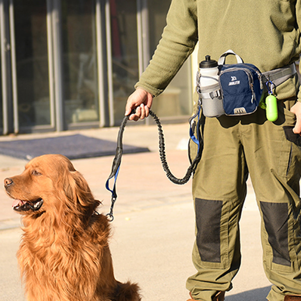 homme tiens laisse chien retractable