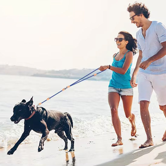 Laisse Double pour Chien | Réglable™