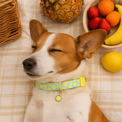 Collier de Chien à Motif de Fruits avec Pendentif™ - Jaune