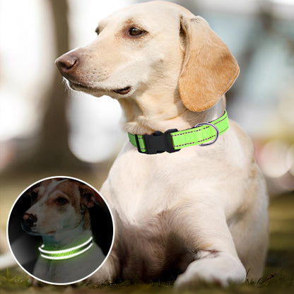 Collier pour Chien Réfléchissant | NylonCollar™