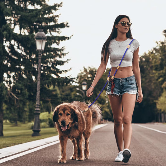 Laisse Double pour Chien | Réglable™
