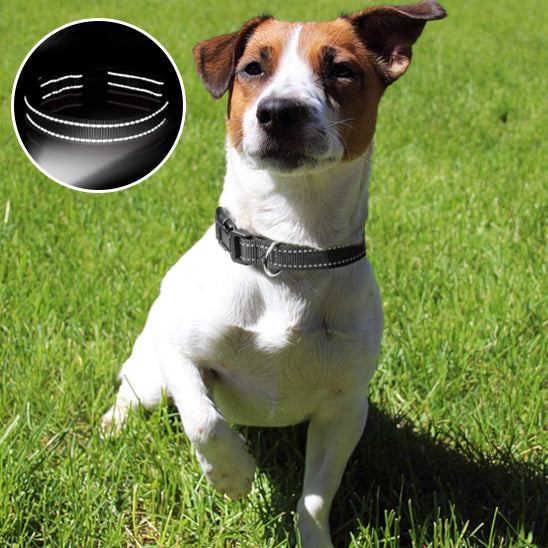 Collier pour Chien Réfléchissant | NylonCollar™ - Noir
