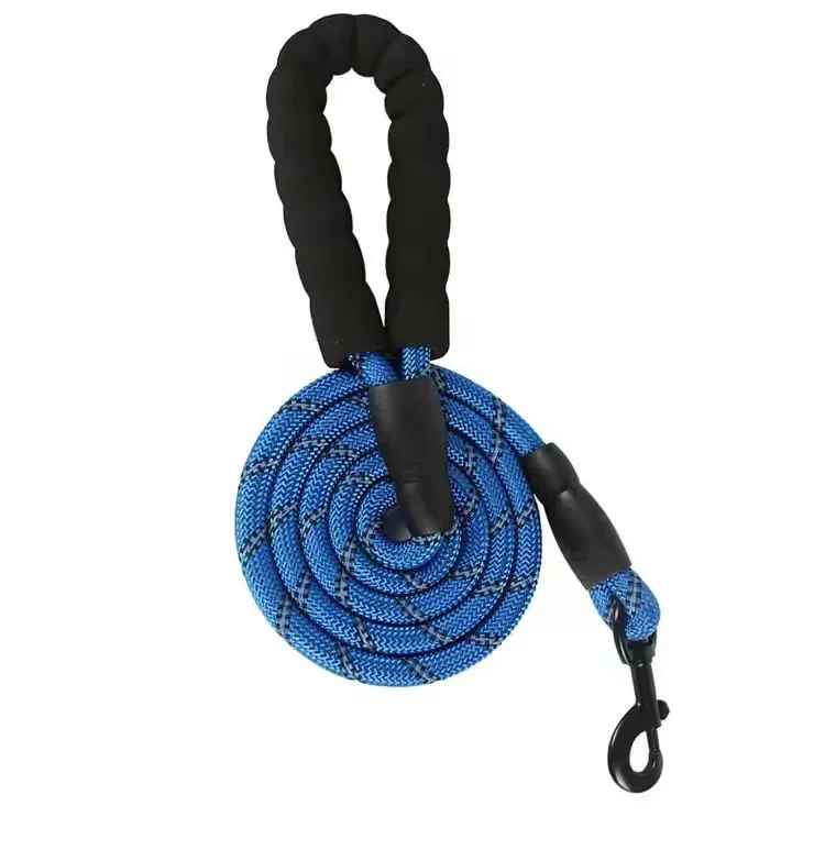 laisse bleu chien