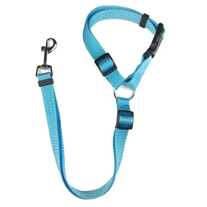 laisse chien bleu ciel