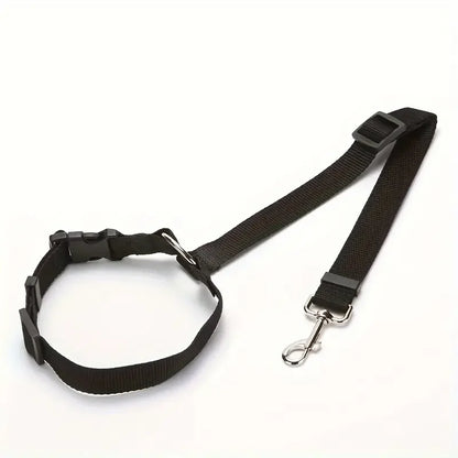 laisse chien noire