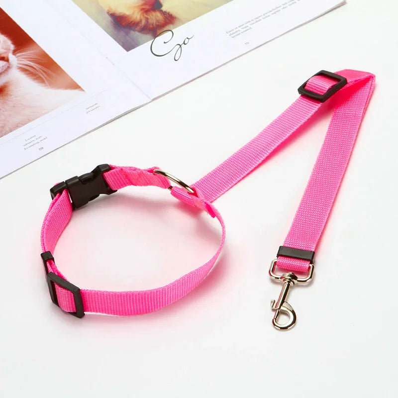 laisse chien rose