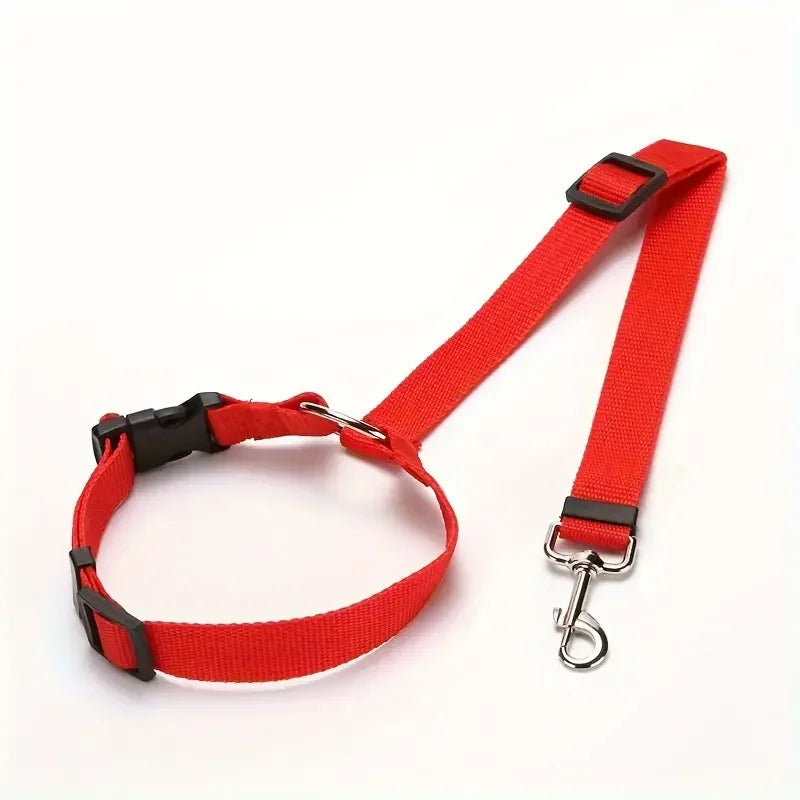 laisse chien rouge