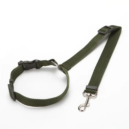 laisse chien vert