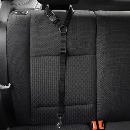 laisse chien voiture appuis tete