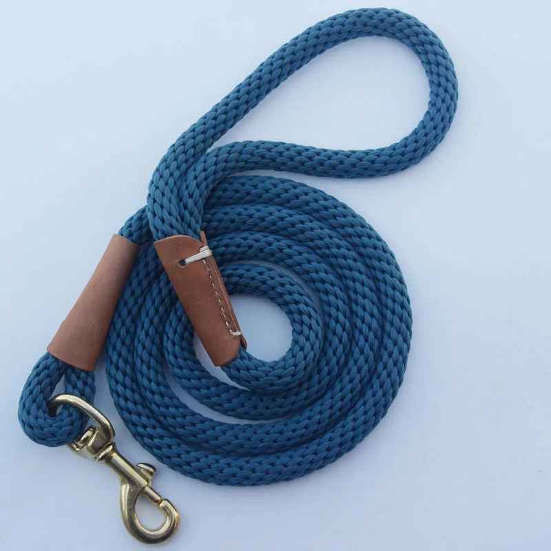 laisse en bleu
